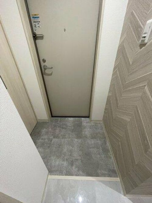 大阪府東大阪市東山町(アパート)の賃貸物件203の玄関