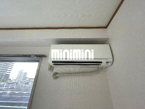 ピュアササキのその他画像