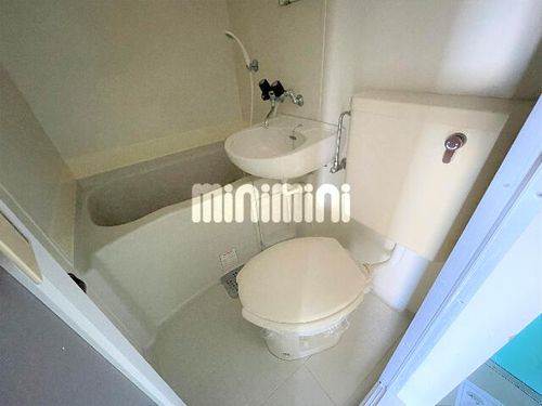 ピュアササキの内装