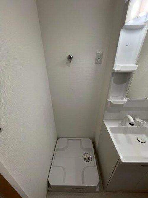 D porta mildのその他画像