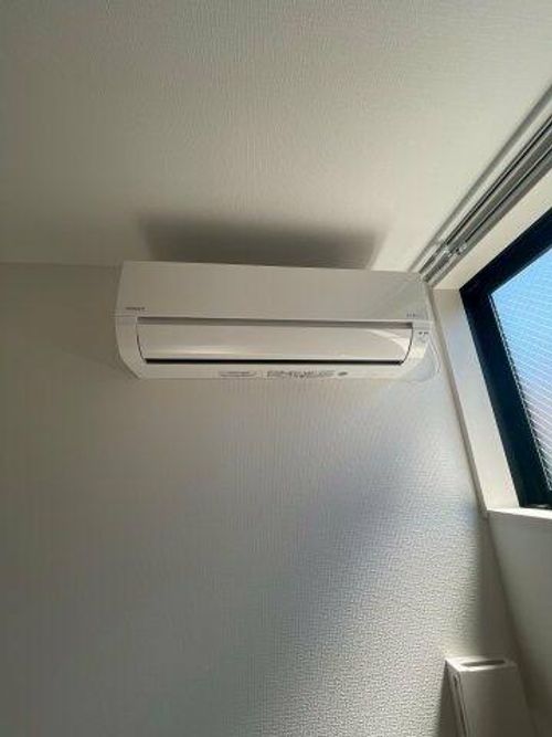 D porta mildのその他画像