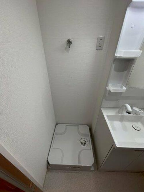 D porta mildのその他画像