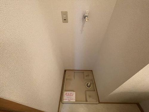 ライラックのその他画像