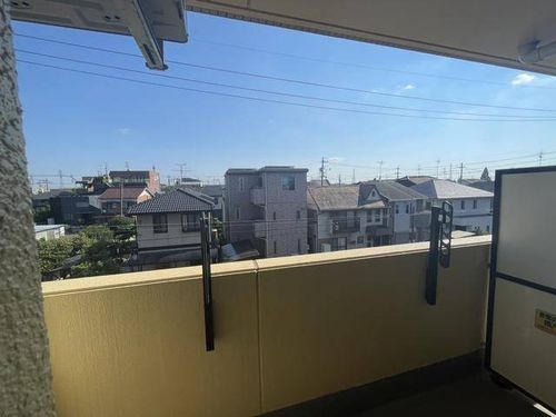 ライラックのその他画像