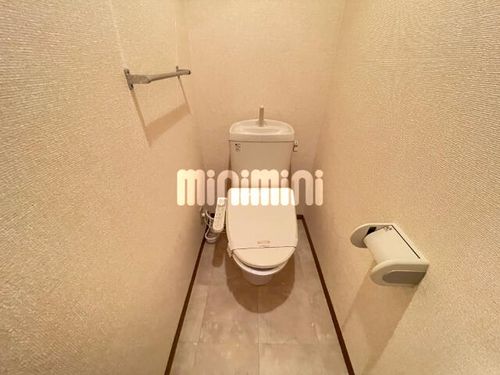 セレッソの内装