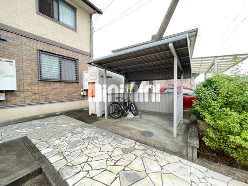 セレッソのその他画像