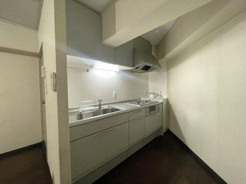 大阪府大阪市東淀川区東淡路1丁目(マンション)の賃貸物件のキッチン