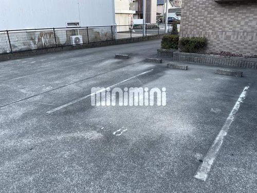 ルピナス橘のその他画像