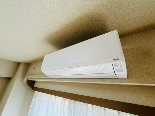 ジュリオ朝霧のその他画像