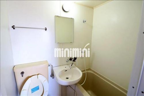 シオン草平の内装