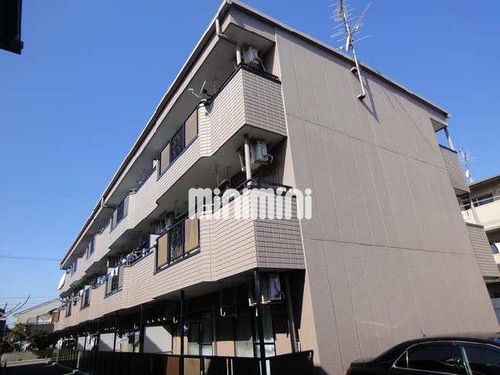 ラベンダーの外観