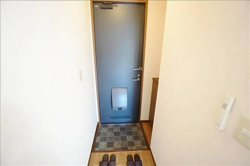 ルミエール一宮 A棟の玄関