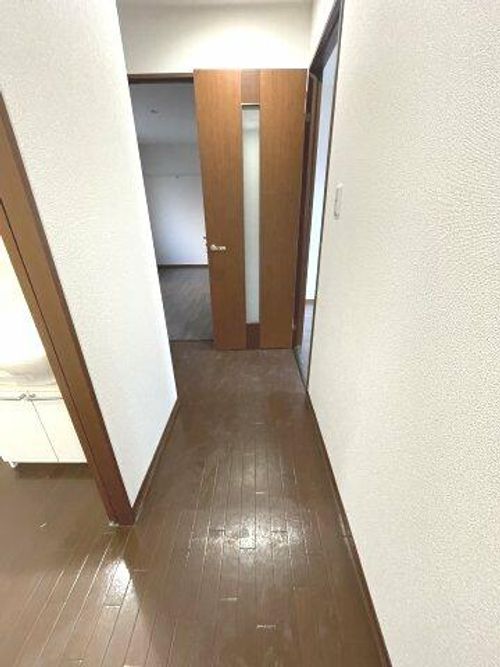 ソレイユ2号の内装