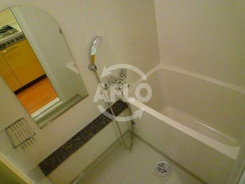 プレサンス心斎橋リベルタの風呂