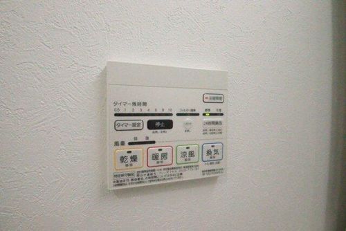 ヴェルドミールのその他画像