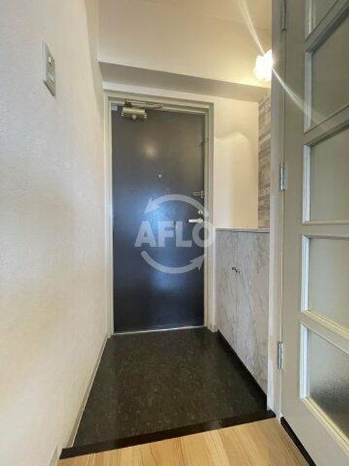 大正メゾンの玄関