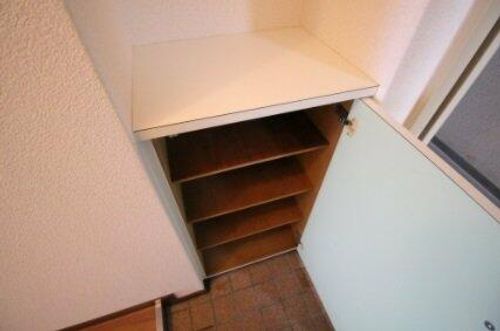 大阪府大阪市東淀川区大桐2丁目(マンション)の賃貸物件の玄関