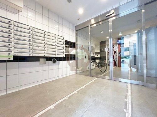 大阪府大阪市西区新町3丁目(マンション)の賃貸物件の玄関