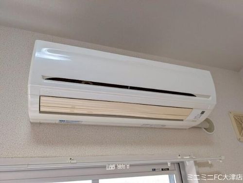 グレイス長等のその他画像