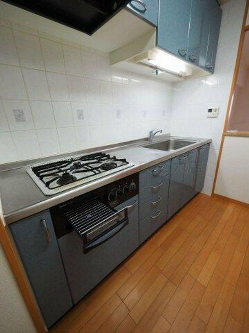 プレサンス中之島公園南のキッチン