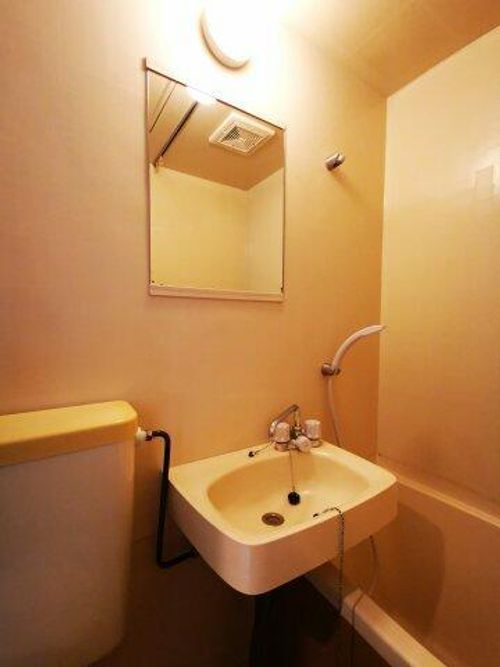 大阪府堺市中区大野芝町(マンション)の賃貸物件の内装