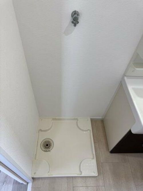 アカカベビルのその他画像