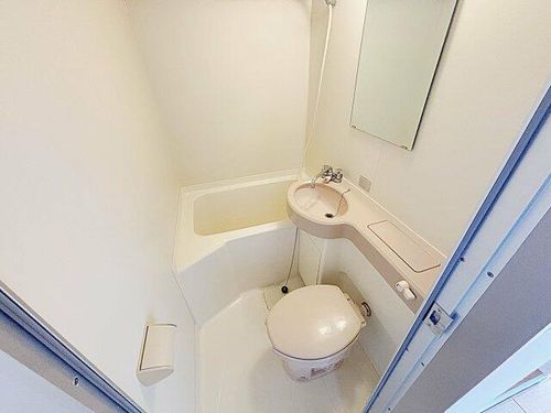 愛知県名古屋市南区鯛取通5丁目(マンション)の賃貸物件305の風呂