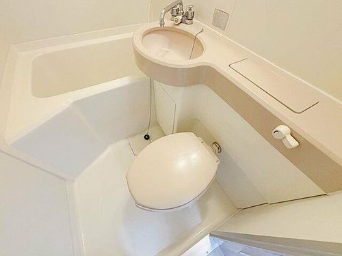 愛知県名古屋市南区鯛取通5丁目(マンション)の賃貸物件305の内装