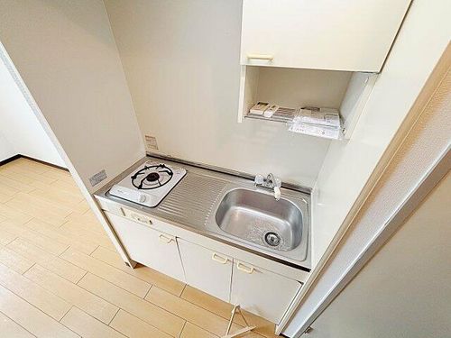 愛知県名古屋市南区鯛取通5丁目(マンション)の賃貸物件305のキッチン