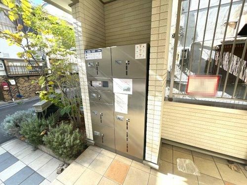 カンツォーネのその他画像