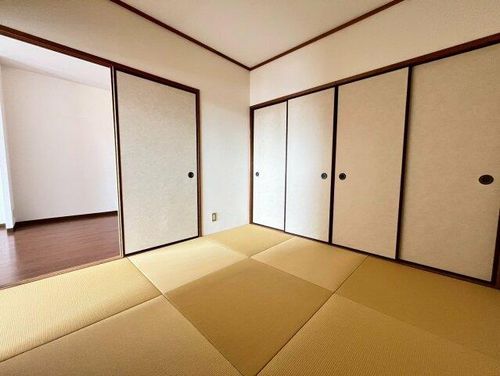 大阪府堺市東区日置荘西町3丁(マンション)の賃貸物件の内装