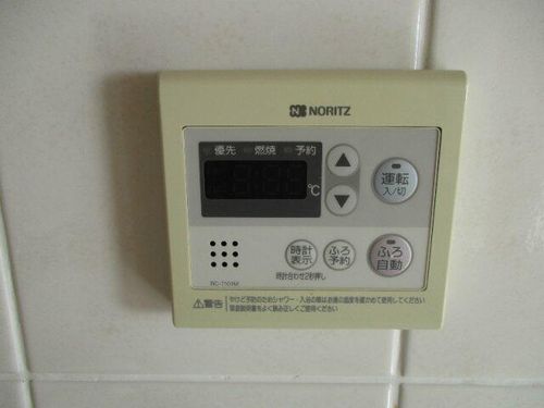 フェアリーマナのその他画像
