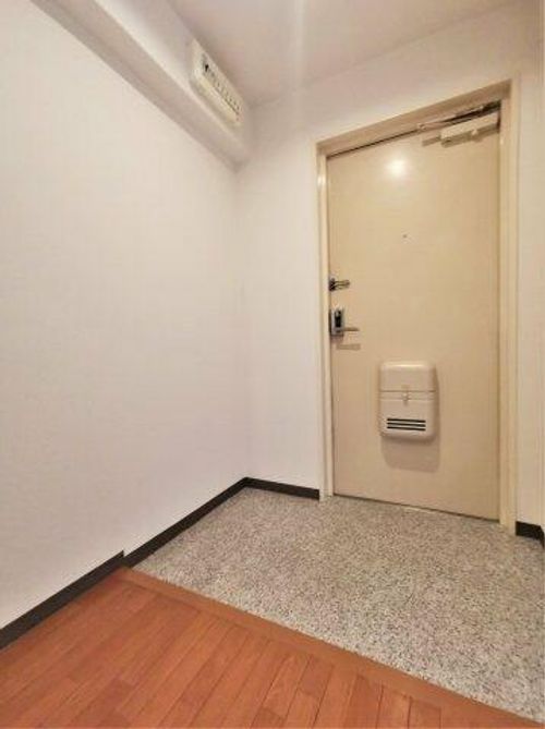 大阪府藤井寺市林2丁目(マンション)の賃貸物件の玄関