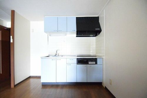 上野マンション1-Bのキッチン