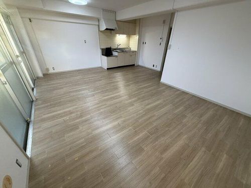 インタービレッジ八家駅前306の内装