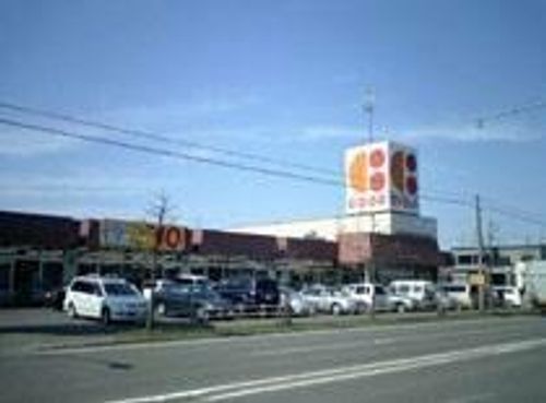 北海道札幌市北区新琴似六条10丁目(アパート)の賃貸物件の内装