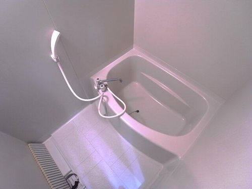 ベル・エポック・ヒロタ202の風呂