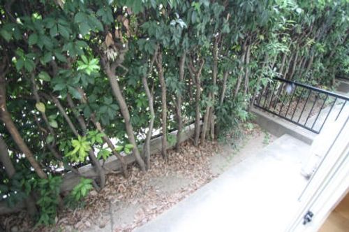 サンビレッジ呉服103の内装