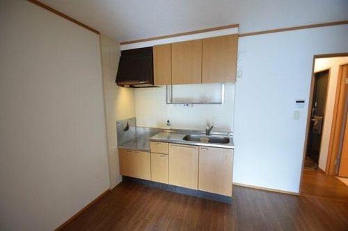 ヴァンベールB棟203のキッチン
