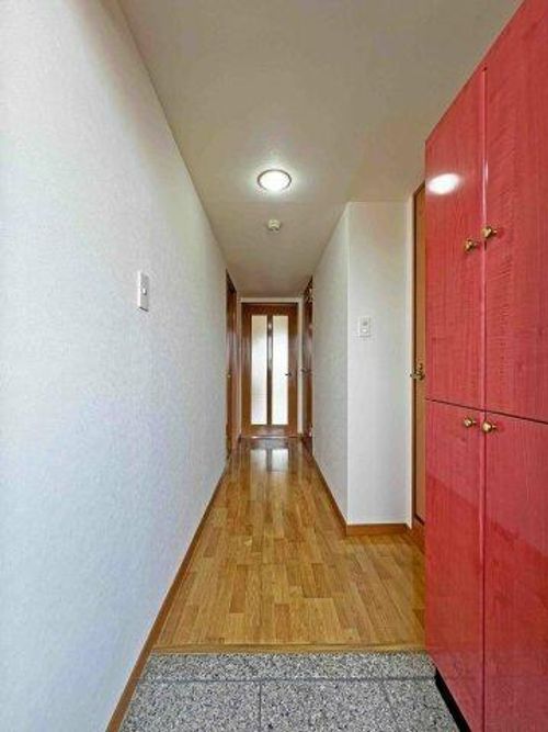 アムール正保403の玄関