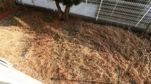 クイーンズコート東落合 C棟の内装