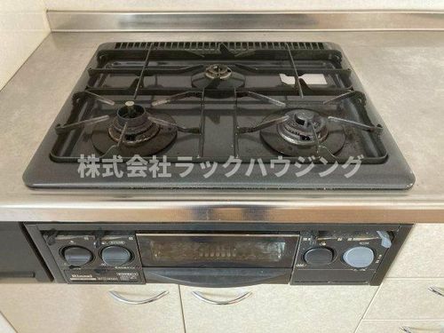ザ ハウス オブ マダムジュエル C2棟のキッチン
