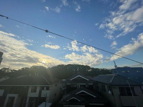 アートN206のその他画像