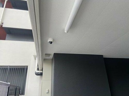 P’s imaikeのその他画像