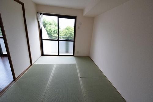 兵庫県神戸市須磨区大手町5丁目(アパート)の賃貸物件の内装