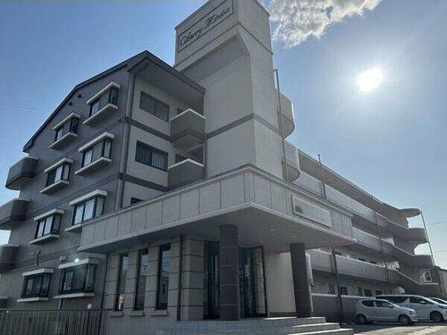 チェリーミニオンの外観