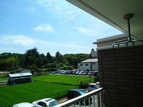 大阪府堺市北区南花田町(アパート)の賃貸物件の内装
