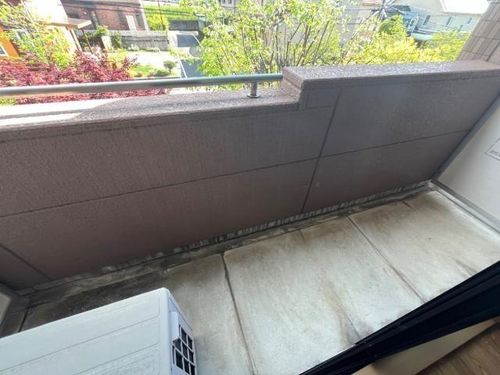 メイプル・パラーシオのその他画像