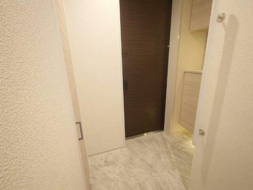 ラヴィベール国玉0301の玄関