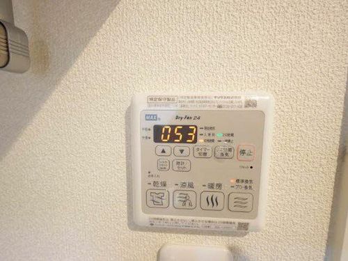 ラヴィベール国玉0301のその他画像